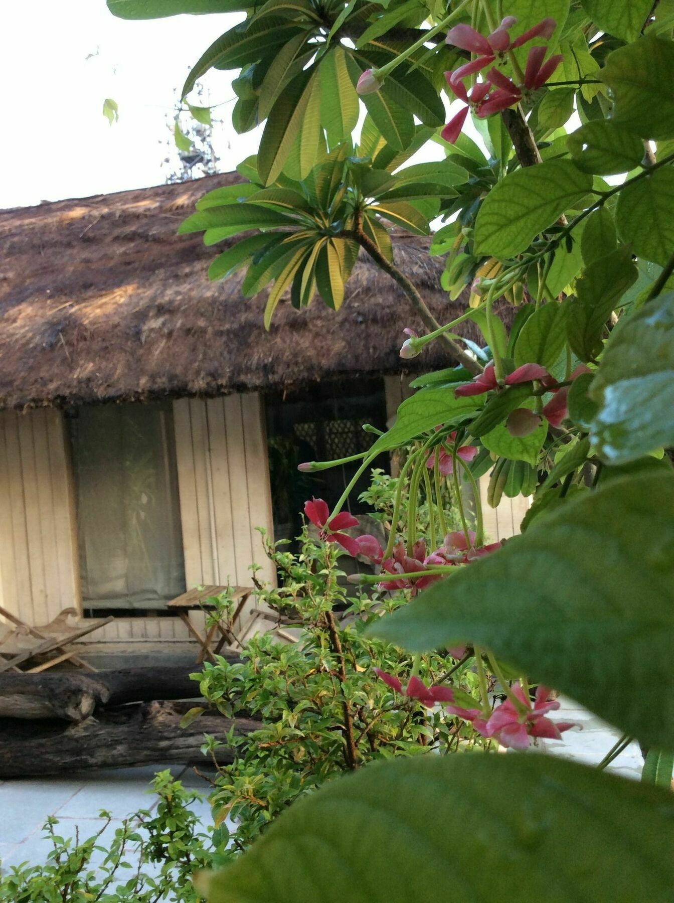 The Lazy Patio Homestay Nueva Delhi Exterior foto